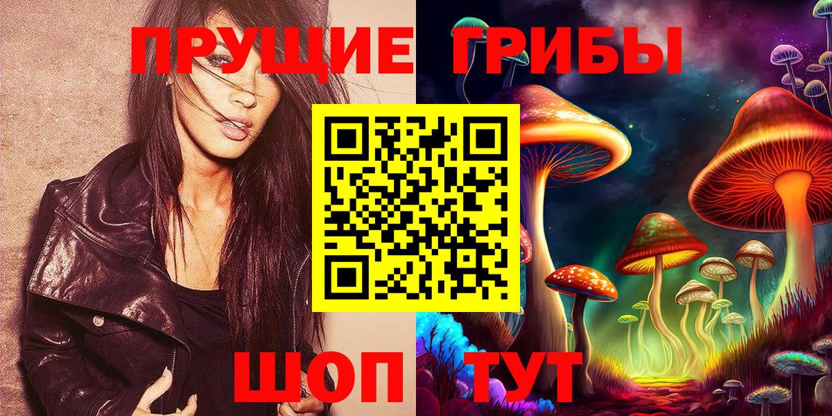 Галлюциногенные грибы Psilocybine cubensis Карачаевск